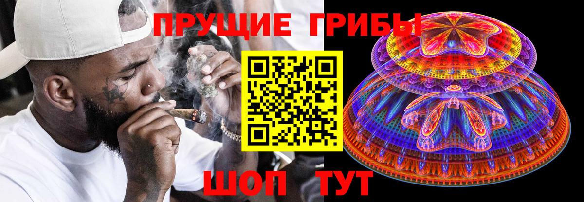 Галлюциногенные грибы Psilocybine cubensis  Псилоцибиновые грибы Cubensis  Еманжелинск  Вход с VPN 